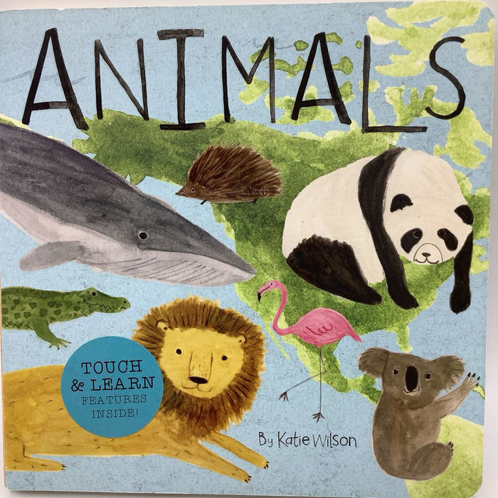 Animals (boardbook)