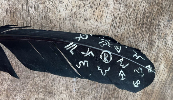 Black Branded Crow Painted Feather