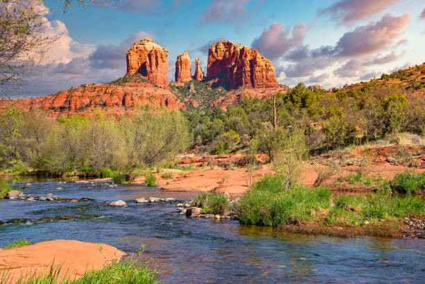 Sedona Rugby Shirt