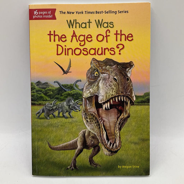 What Was The Age Of The Dinosaurs? (paperback)
