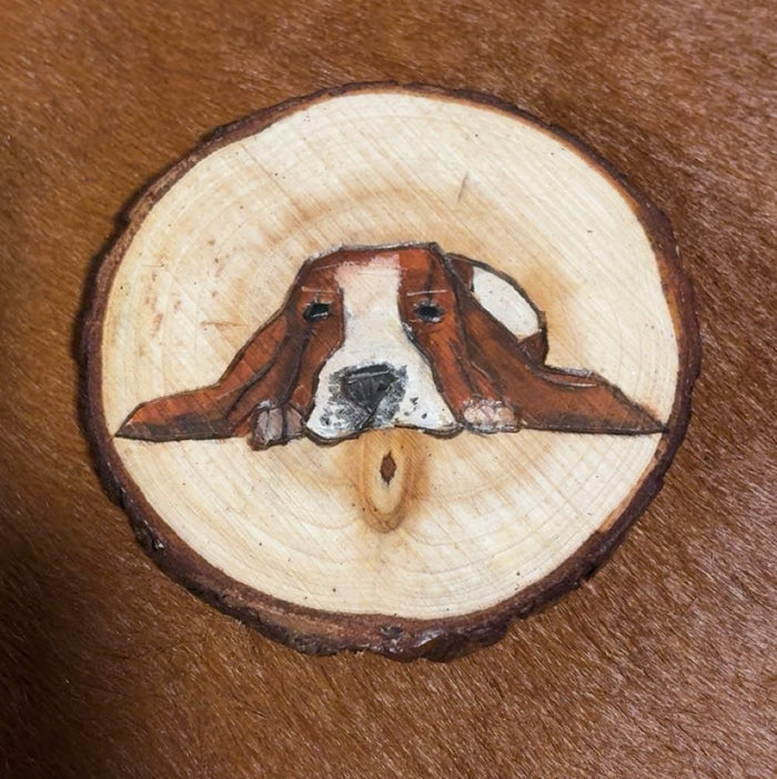 Basset Hounds - Custom Wood Burned Coaster Set- Set Of 4