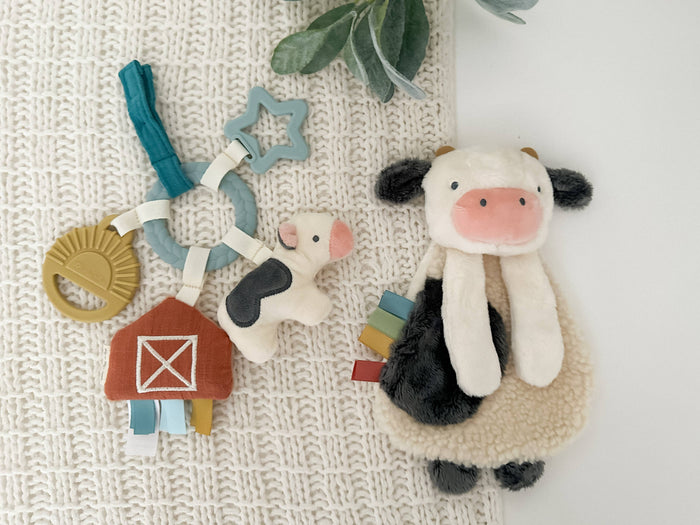 Bitzy Busy Gift Set™ - Premium Baby Gift Sets from Itzy Ritzy - Just $22.95! Shop now at Pat's Monograms