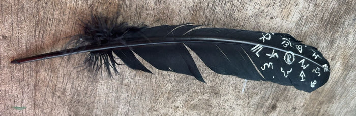 Black Branded Crow Painted Feather