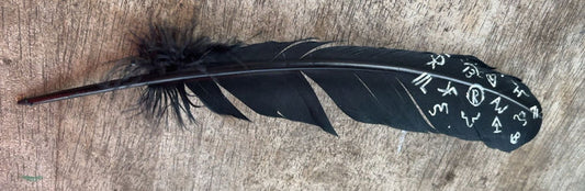 Black Branded Crow Painted Feather