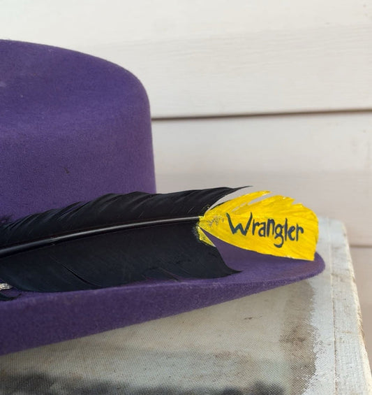 Black Wrangler Painted Feather
