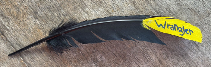 Black Wrangler Painted Feather