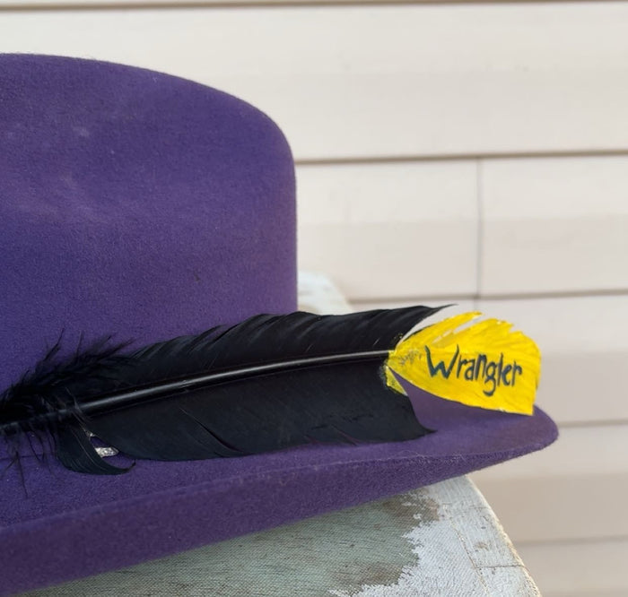 Black Wrangler Painted Feather