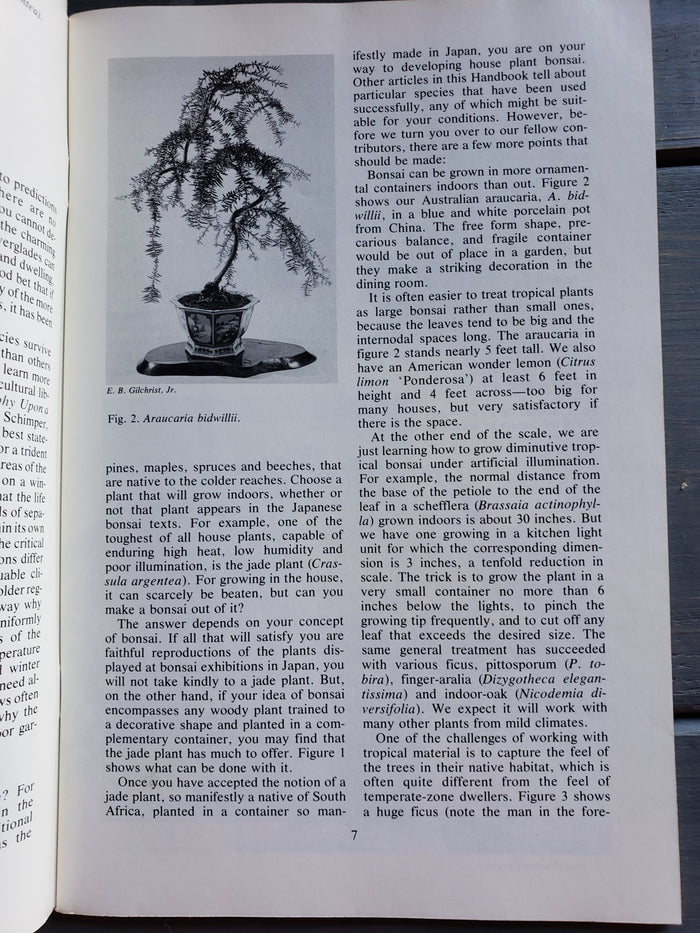 Bonsai for Indoors handbook (1982)