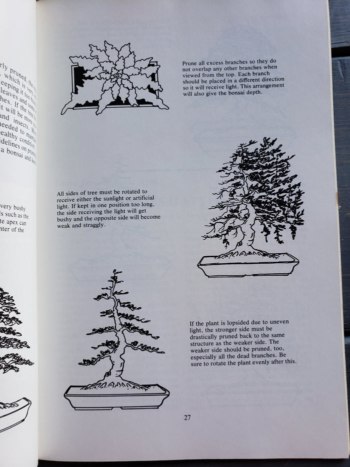 Bonsai for Indoors handbook (1982)