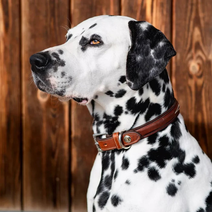 BUTET Leather Dog Collar