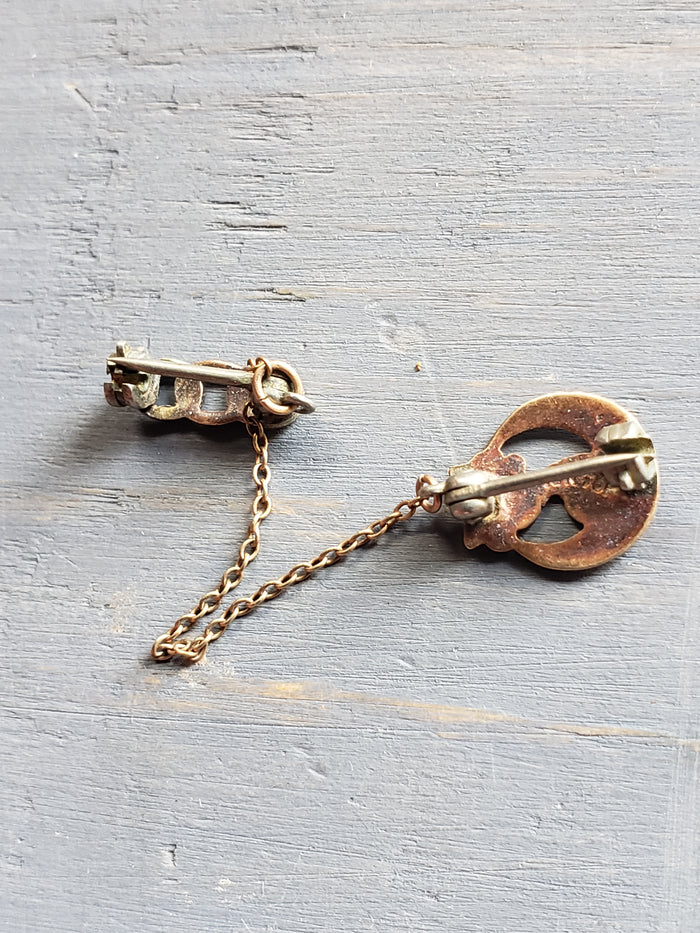 Daughters of Rebekah dual enamel pin with chain