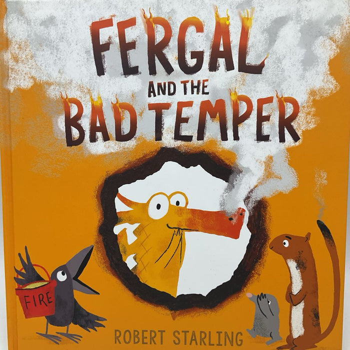 Fergal And The Bad Temper (hardcover)