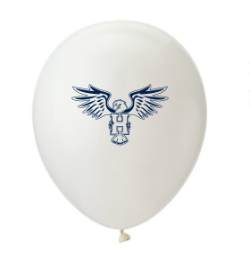 Graduation Party Supplies