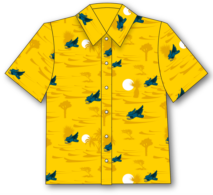 Hawaiian Shirts