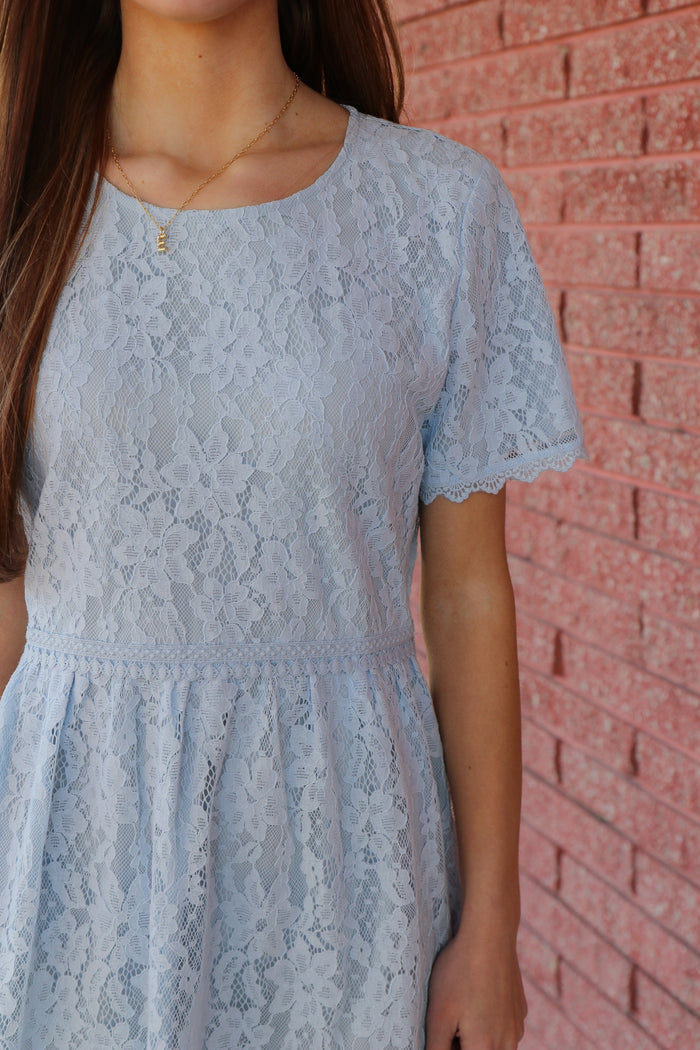Laced in Grace Dress Knee Length Dress Tea n Rose- Tilden Co.