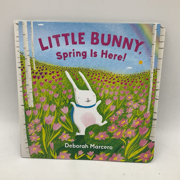 Little Bunny Spring Is Here (paperback)