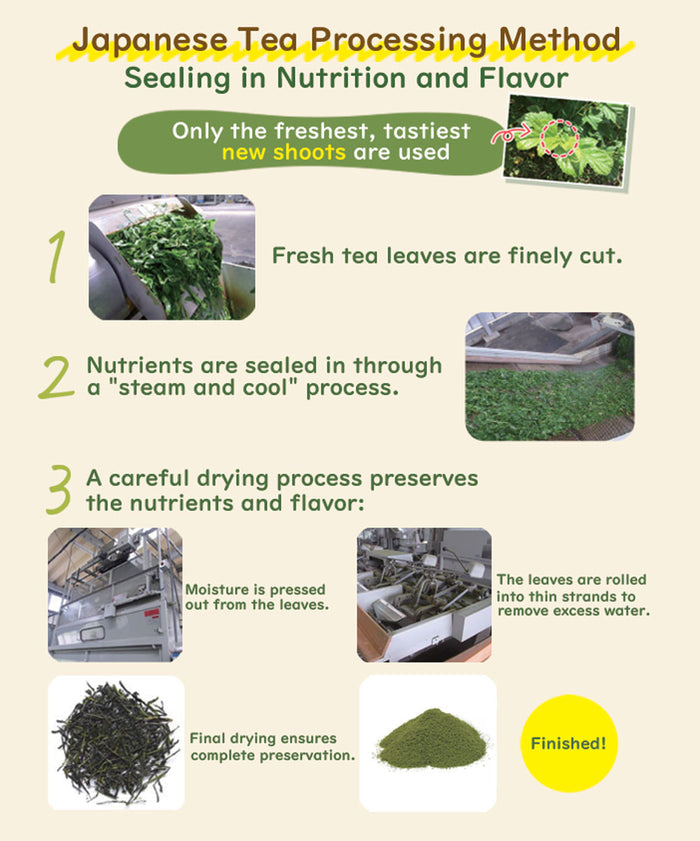 MULBERRY LEAF TEA INDIGESTIBLE DEXTRIN PLUS