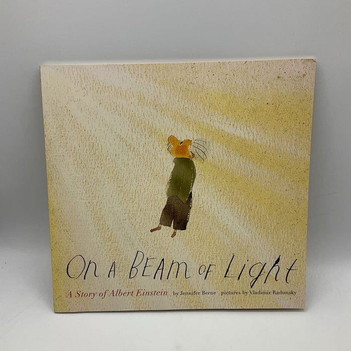 On A Beam Of Light (paperback)