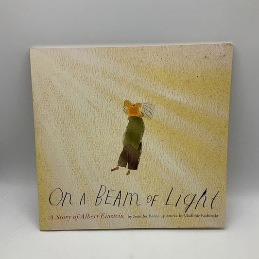 On A Beam Of Light (paperback)
