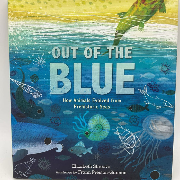 Out Of The Blue (hardcover)