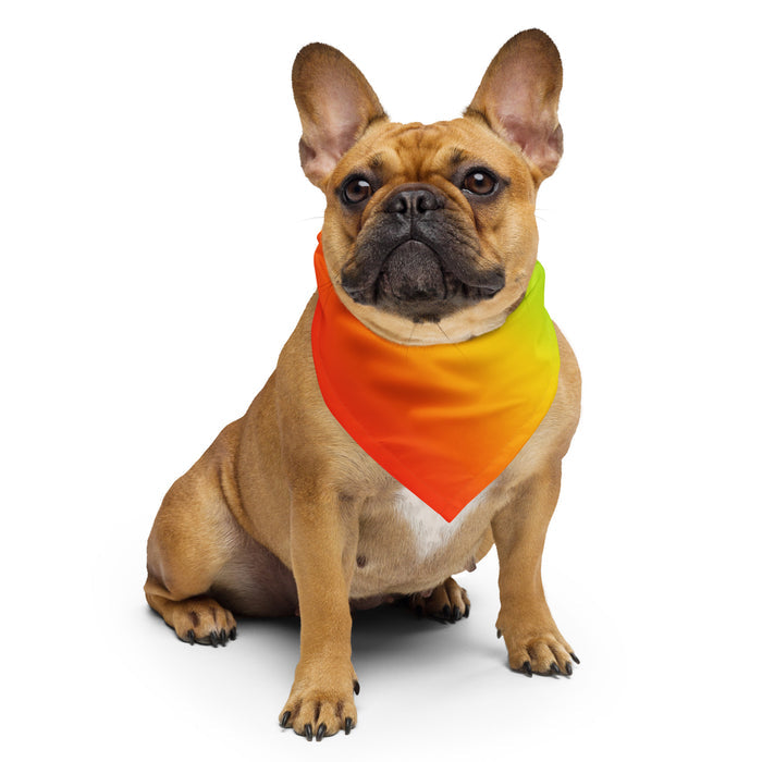 Pride bandana