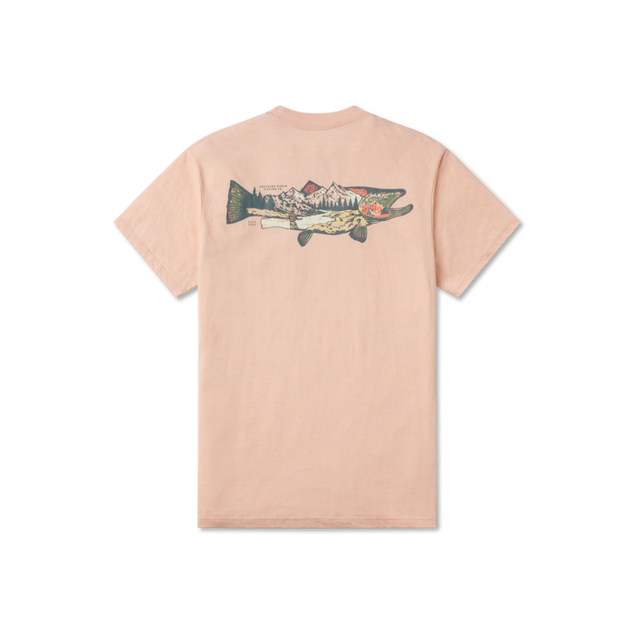 Terracotta
