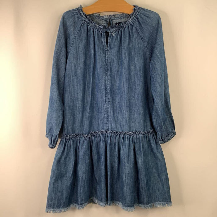 Size 6: Gap Denim Long Sleeve Dress