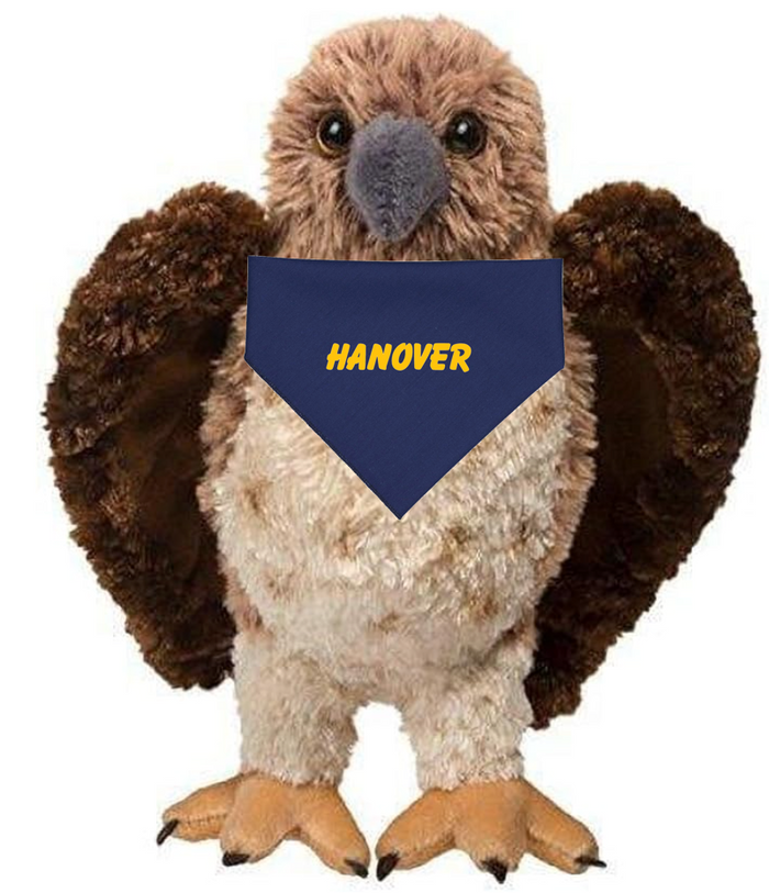 Sylvester the Hawk