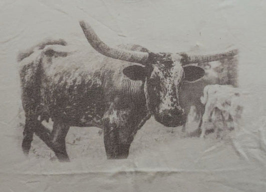 Tan Longhorn Soft T-shirt XL/L