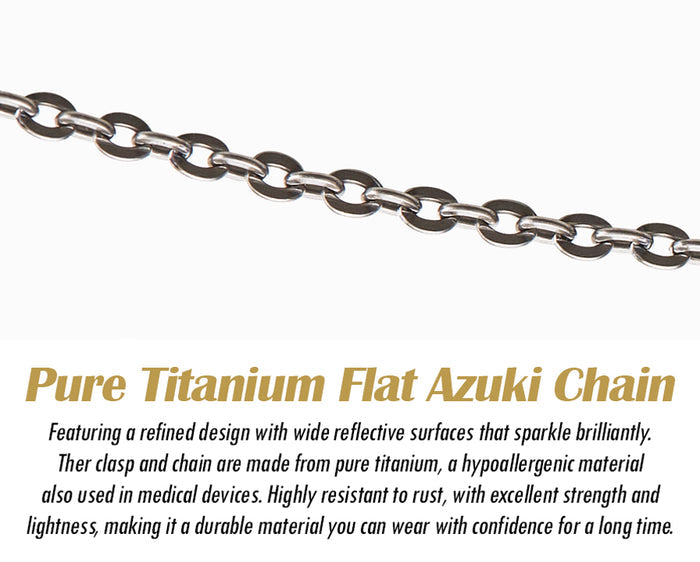 Titanium Slim Chain Necklace Basic