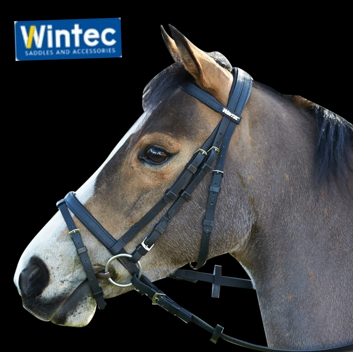 Wintec Bridle with Hanoverian Noseband (Flash)#EQ801