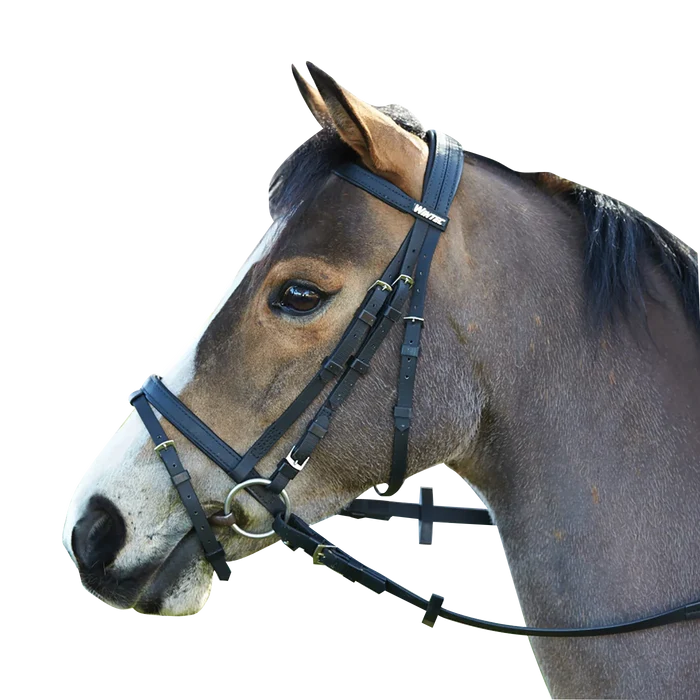 Wintec Bridle with Hanoverian Noseband (Flash)#EQ801