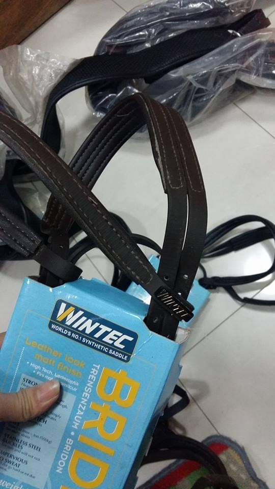 Wintec Bridle with Hanoverian Noseband (Flash)#EQ801