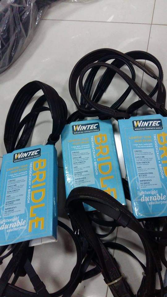 Wintec Bridle with Hanoverian Noseband (Flash)#EQ801